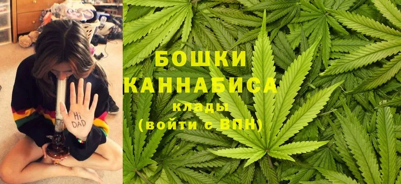 Марихуана SATIVA & INDICA  гидра сайт  Новоалександровск 